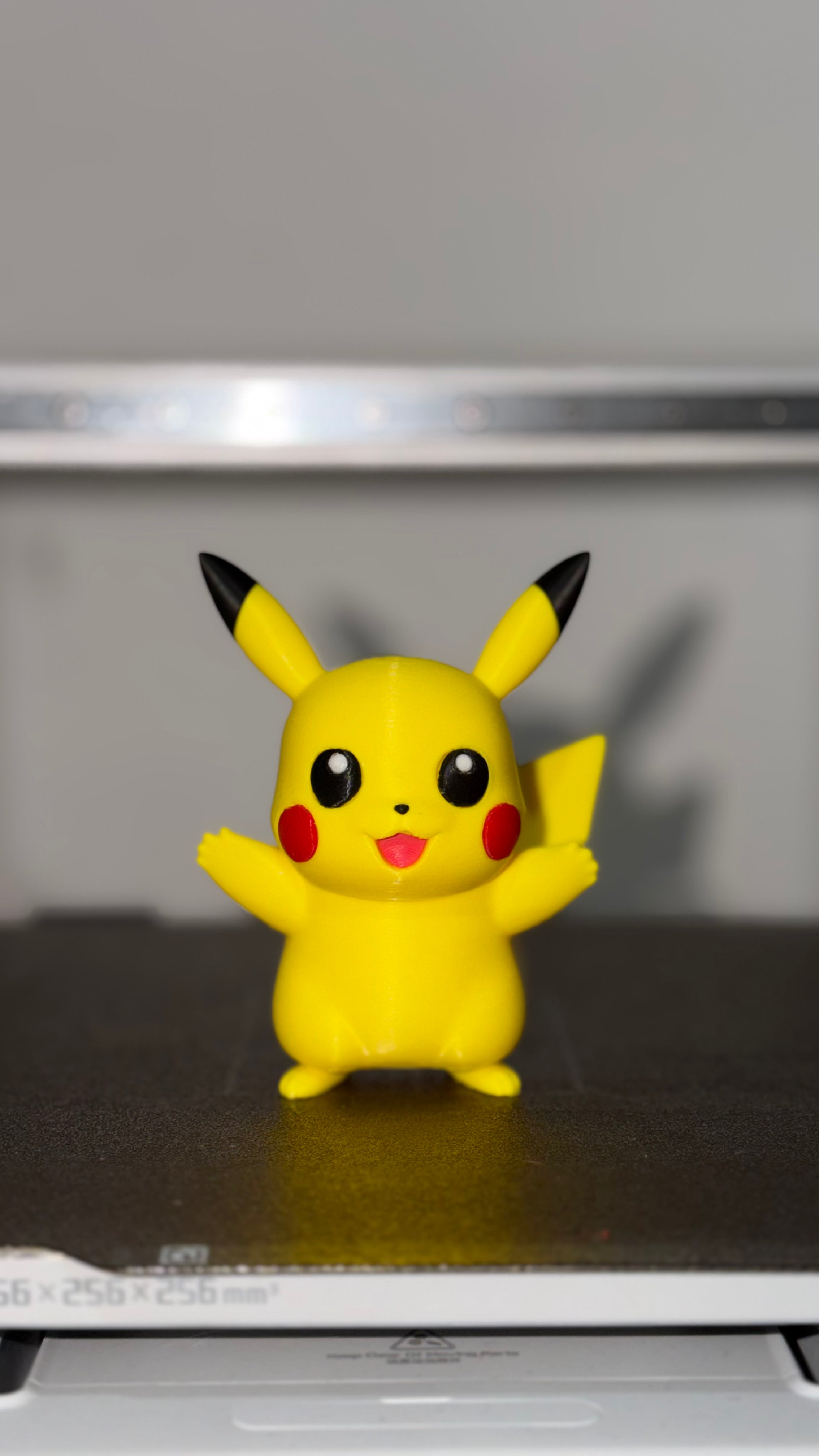 Pokémon Figurines